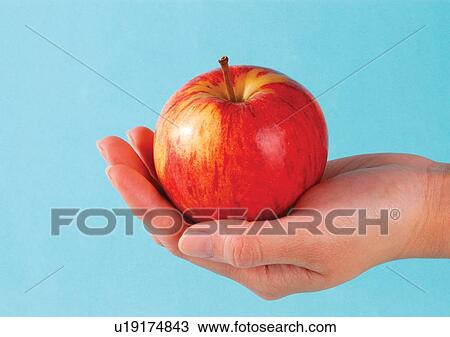 Stock Image - blue, fresh fruit, close-up, apple. Fotosearch