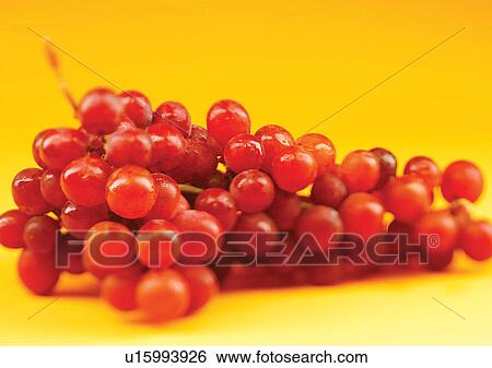 Stock Photograph - blurred, bunch, bunch of grapes, close-up. Fotosearch