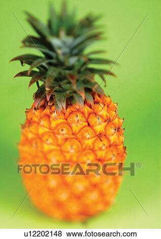 Stock Photo - blurred, close-up, fresh fruit, freshness. Fotosearch