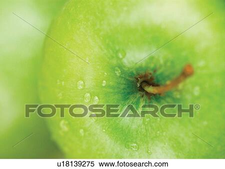 bright, close-up, fresh fruit, freshness View Large Photo Image Stock Photography - bright, close-up, fresh fruit, freshness. Fotosearch