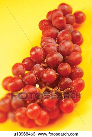 Stock Image - bunch, bunch of grapes, close-up, fresh fruit. Fotosearch