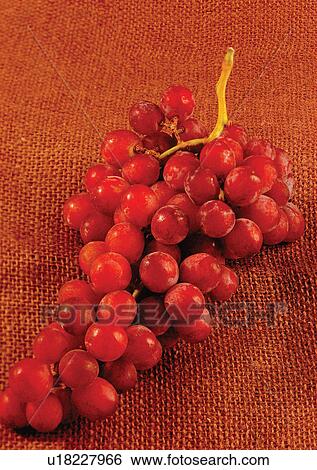 Stock Photograph - bunch, bunch of grapes, close-up, fresh fruit. Fotosearch