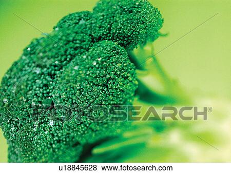 broccoli, elements, food stuff View Large Photo Image Stock Photo - broccoli, elements, food stuff. Fotosearch