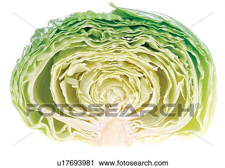 cabbage, covering, elements View Large Photo Image Stock Image - cabbage, covering, elements. Fotosearch