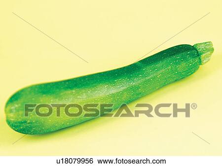 close-up, melon, vine View Large Photo Image Stock Photograph - close-up, melon, vine. Fotosearch