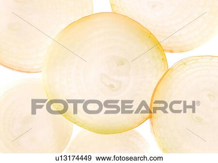 Stock Photo - onions, close-up, ready. Fotosearch