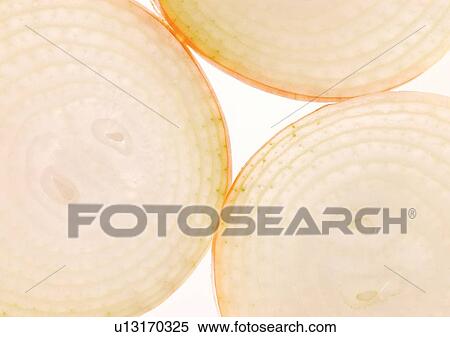 Stock Photography - onions, close-up, ready. Fotosearch