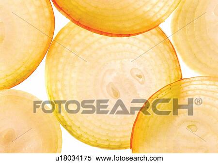 Stock Photography - onions, close-up, ready. Fotosearch