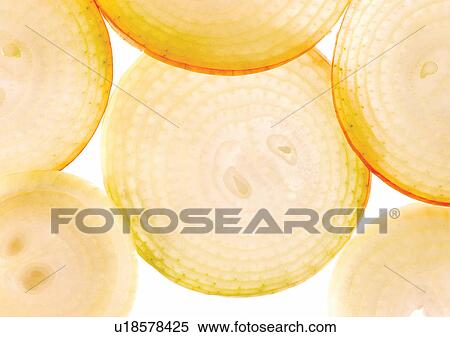 onions, close-up, ready View Large Photo Image Stock Photography - onions, close-up, ready. Fotosearch