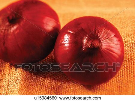 Stock Image - onions, vegetable, fresh. Fotosearch