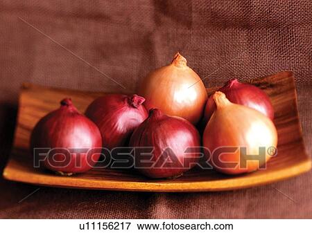 Stock Photo - onions, vegetable, fresh. Fotosearch
