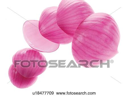 Stock Photo - onions, vegetable, fresh. Fotosearch