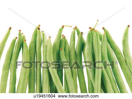 pods, vegetable, peas View Large Photo Image Picture - pods, vegetable, peas. Fotosearch