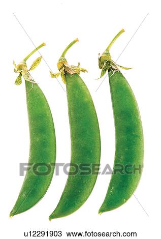 Stock Image - pods, vegetable, peas. Fotosearch