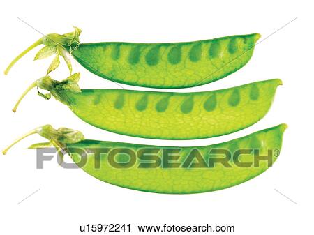Stock Image - pods, vegetable, peas. Fotosearch