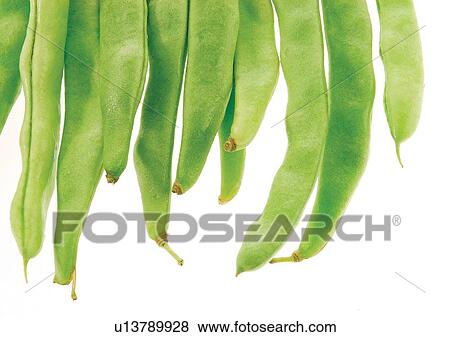 pods, vegetable, peas View Large Photo Image Stock Photo - pods, vegetable, peas. Fotosearch