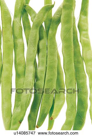 Stock Photo - pods, vegetable, peas. Fotosearch