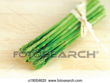 Stock Photography - stalks, bundle, asparagus. Fotosearch