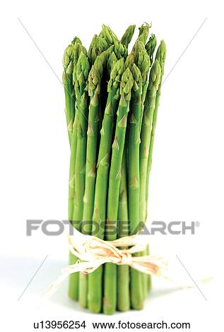 vegetable, raw, mature View Large Photo Image Picture - vegetable, raw, mature. Fotosearch