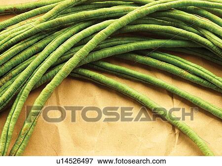 vegetable, raw, mature View Large Photo Image Stock Photo - vegetable, raw, mature. Fotosearch