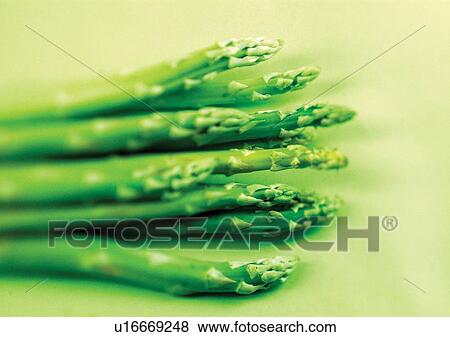 vegetable, raw, mature View Large Photo Image Stock Photo - vegetable, raw, mature. Fotosearch