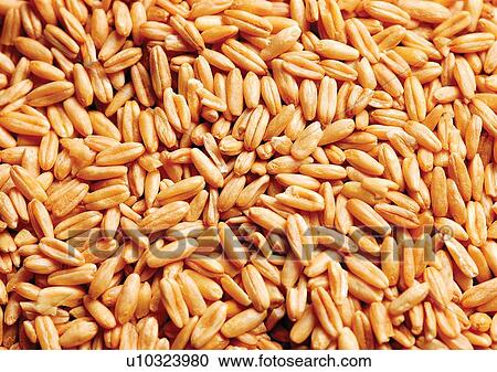 viva vegetables, vegetables View Large Photo Image Stock Image - viva vegetables, vegetables. Fotosearch