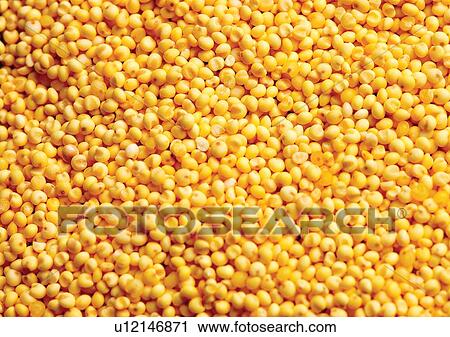 viva vegetables, vegetables View Large Photo Image Stock Image - viva vegetables, vegetables. Fotosearch
