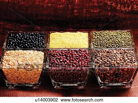 viva vegetables, vegetables View Large Photo Image Stock Image - viva vegetables, vegetables. Fotosearch