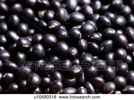 Stock Photo - viva vegetables, vegetables. Fotosearch