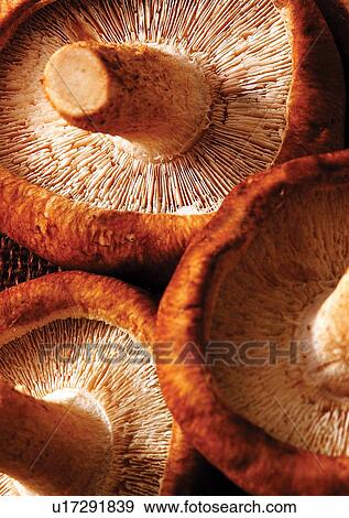 Stock Photo - viva vegetables, vegetables. Fotosearch
