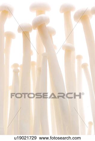 Stock Photo - viva vegetables, vegetables. Fotosearch