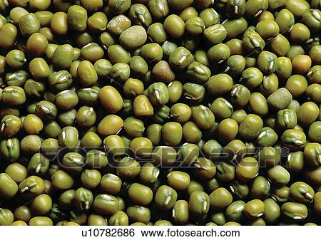 viva vegetables, vegetables View Large Photo Image Stock Photograph - viva vegetables, vegetables. Fotosearch