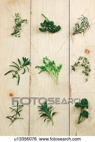 viva vegetables, vegetables View Large Photo Image Stock Photograph - viva vegetables, vegetables. Fotosearch