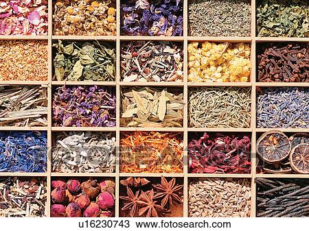 Assorted, Directly Above, Day, Compartments, Aromatic View Large Photo Image Stock Image - Assorted, Directly Above, Day, Compartments, Aromatic. Fotosearch