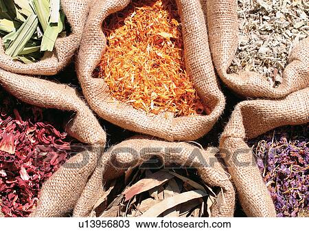 Assorted, Display, Day, Bags, Aromatic View Large Photo Image Stock Image - Assorted, Display, Day, Bags, Aromatic. Fotosearch