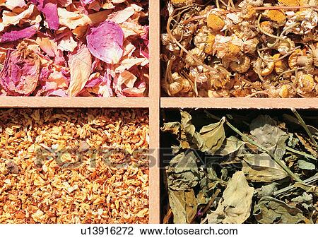Stock Image - Assorted, Display, Day, Compartments, Aromatic. Fotosearch
