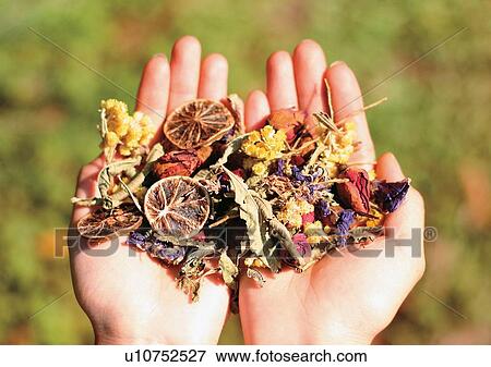 Stock Photo - Assorted, Flavor, Dried, Day, Aromatic. Fotosearch