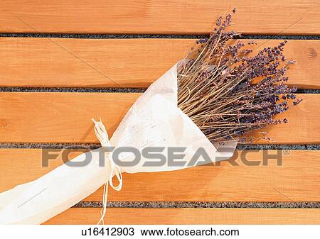Close-Up, Day, Outdoor View Large Photo Image Stock Image - Close-Up, Day, Outdoor. Fotosearch