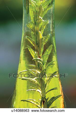 Day, Outdoor View Large Photo Image Stock Image - Day, Outdoor. Fotosearch