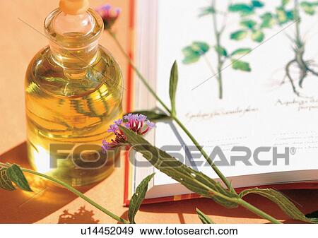 Stock Photo - Day, Outdoor. Fotosearch
