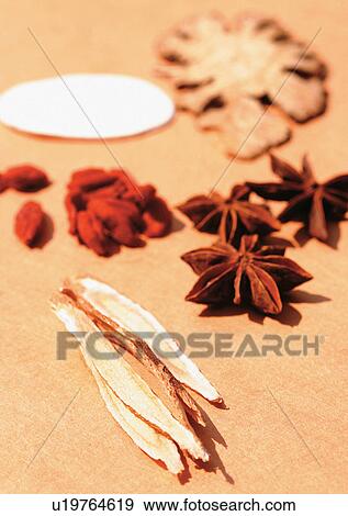 Day, Outdoor View Large Photo Image Stock Photo - Day, Outdoor. Fotosearch