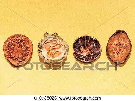 Stock Image - Directly Above, Indoor. Fotosearch