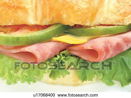 Stock Image - Close-Up, Indoor, One Object. Fotosearch