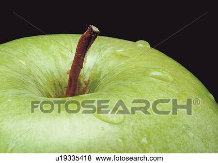 Black Background, Indoor, One Object View Large Photo Image Stock Photo - Black Background, Indoor, One Object. Fotosearch