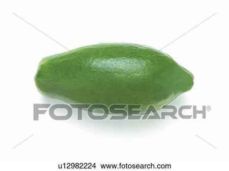 Picture - Cut Out, Indoor, One Object. Fotosearch