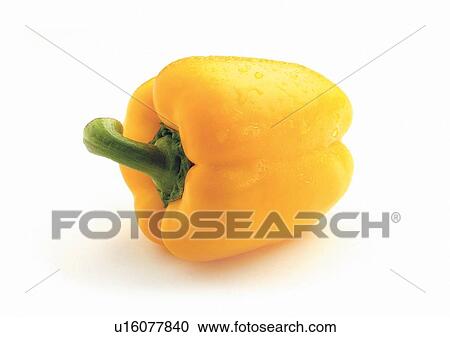 Stock Image - Cut Out, Indoor, One Object. Fotosearch