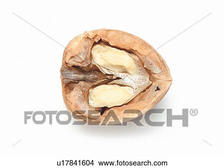 Picture - Cut Out, Indoor. Fotosearch