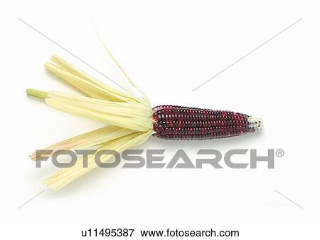 Stock Photo - Cut Out, Indoor. Fotosearch