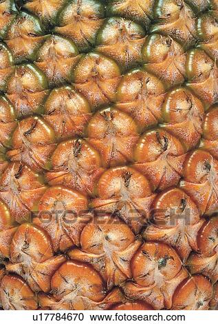 Stock Image - Full Frame, Indoor, Large Group Of Objects, Part Of. Fotosearch
