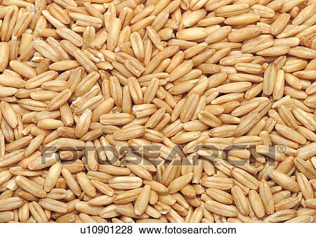 Stock Photo - Full Frame, Indoor, Large Group Of Objects. Fotosearch